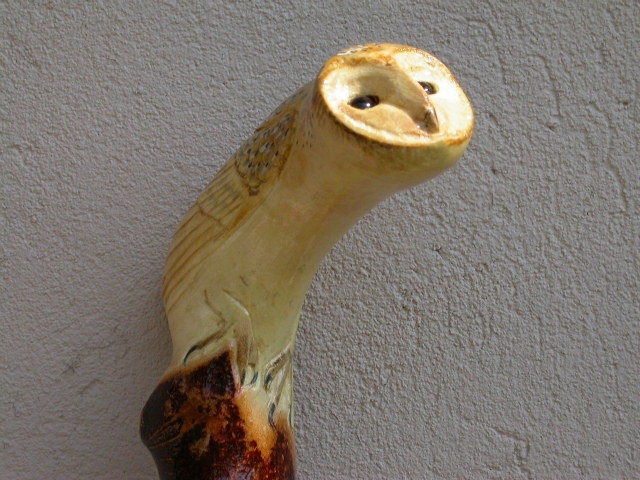 Barn Owl - hazel