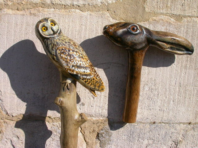 Short Eared Owl and Brown Hare