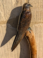Common Swift