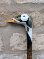 Spectacled Eider Duck